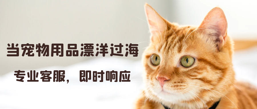 中国宠物品牌出海面临客服时差与专业难题？Alpha海服提供专属海外客服BPO解决方案，覆盖欧美时区，具备宠物营养与产品知识，处理紧急订单与订阅管理，助力品牌降低退货率，提升客户满意度。立即联系我们，获取您的专属英语客服解决方案。